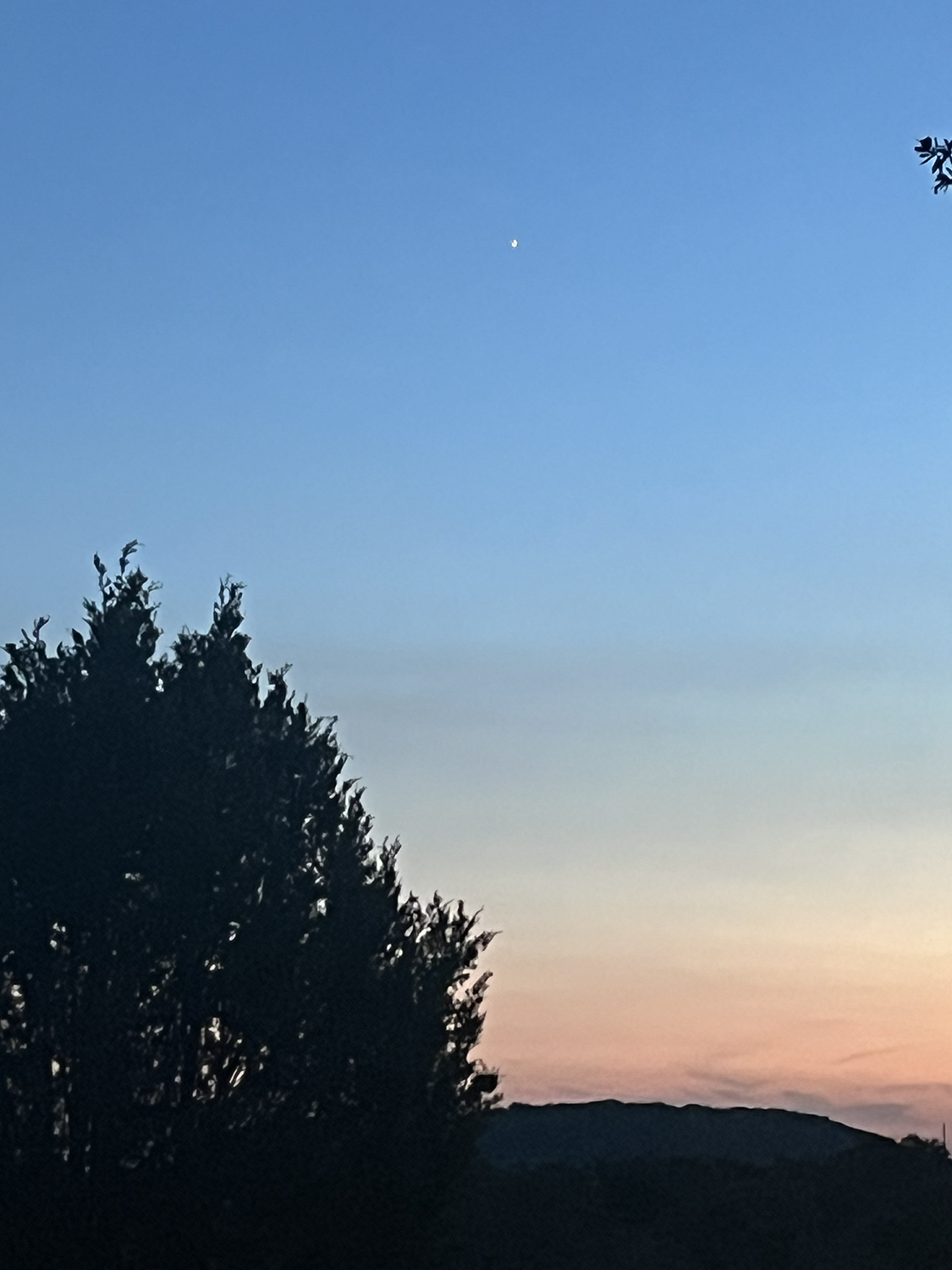 First star as night falls on our adoration of holy God